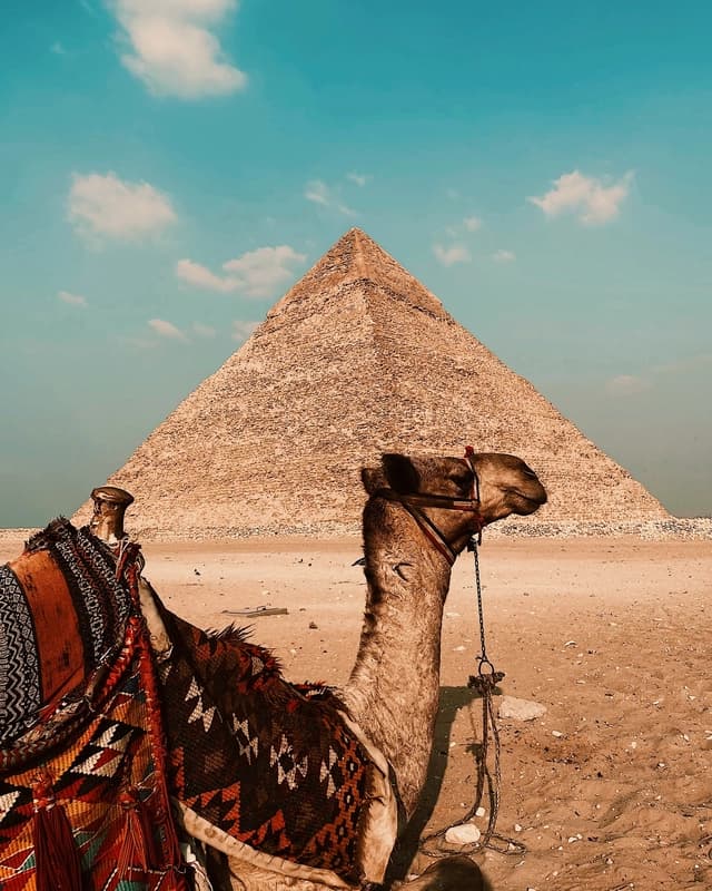 مصر
